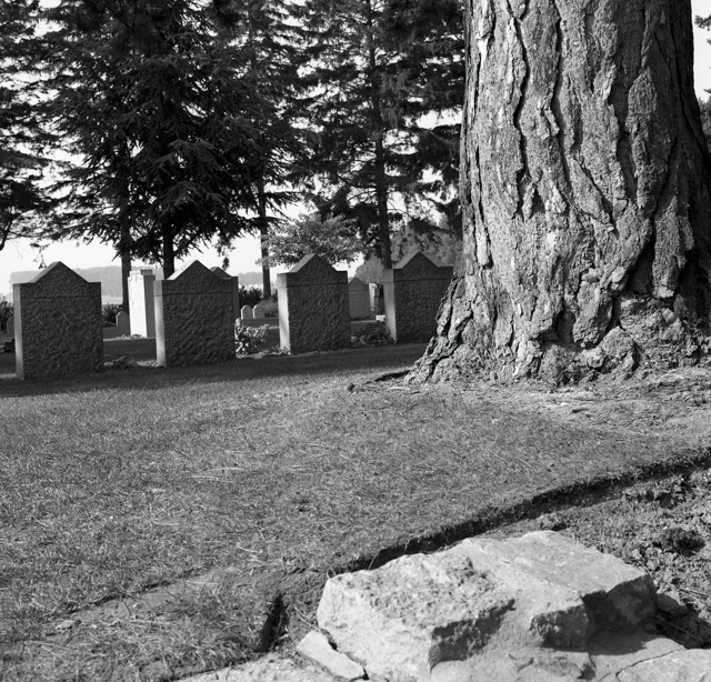 St. Symphorien Military Cemetery-149